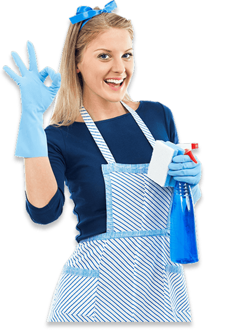 Professional cleaning team at work